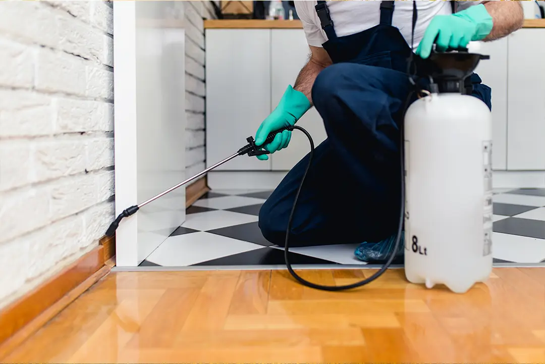 a photo of a pest control technician spraying the baseboards of a home