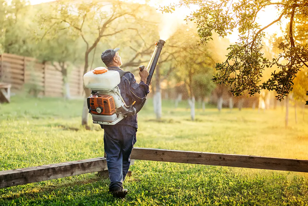 a photo of a man using a backpack mister used for mosquito treatment on a yard